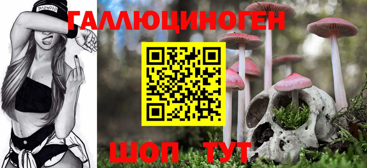Дзержинский  Галлюциногенные грибы мицелий  где найти   Галлюциногенные грибы Psilocybe  Вход с VPN 